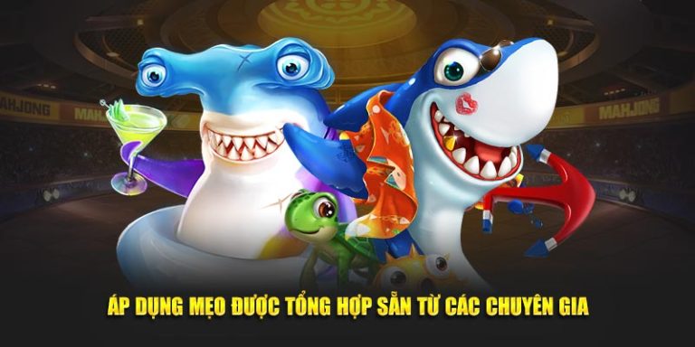 Áp dụng mẹo được tổng hợp sẵn từ các chuyên gia
