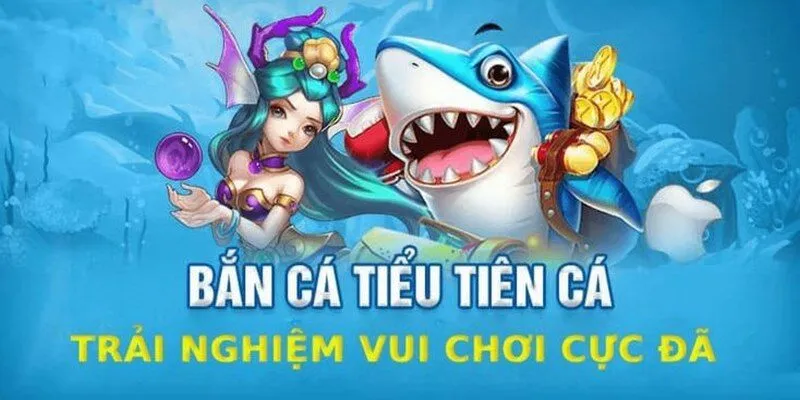 Giới thiệu thông tin bắn cá tiểu tiên cá